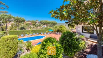 Terrasse extérieure de la Villa Jaruco dotée d'une piscine bleue bordée de transats à rayures et entourée d'arbres verdoyants sous un ciel d'un bleu éclatant