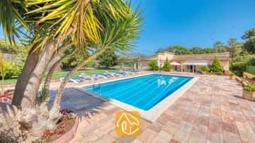 Piscine privée à la Villa Miro, entourée d'une terrasse en pierre agrémentée de chaises longues bleues, avec un grand palmier au premier plan et la villa jaune se détachant sous un ciel bleu azur.