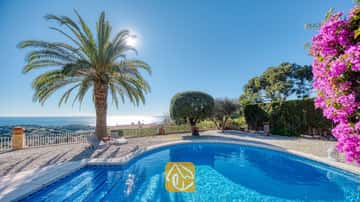 Piscine privée à la Villa Gabriella dotée d'un bord incurvé, d'un grand palmier et de chaises longues grises sur une terrasse en gravier surplombant la mer sous un soleil éclatant.
