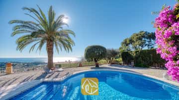 Piscine privée à la Villa Gabriella dotée d'un bord incurvé, d'un grand palmier et de chaises longues grises sur une terrasse en gravier surplombant la mer sous un soleil éclatant.