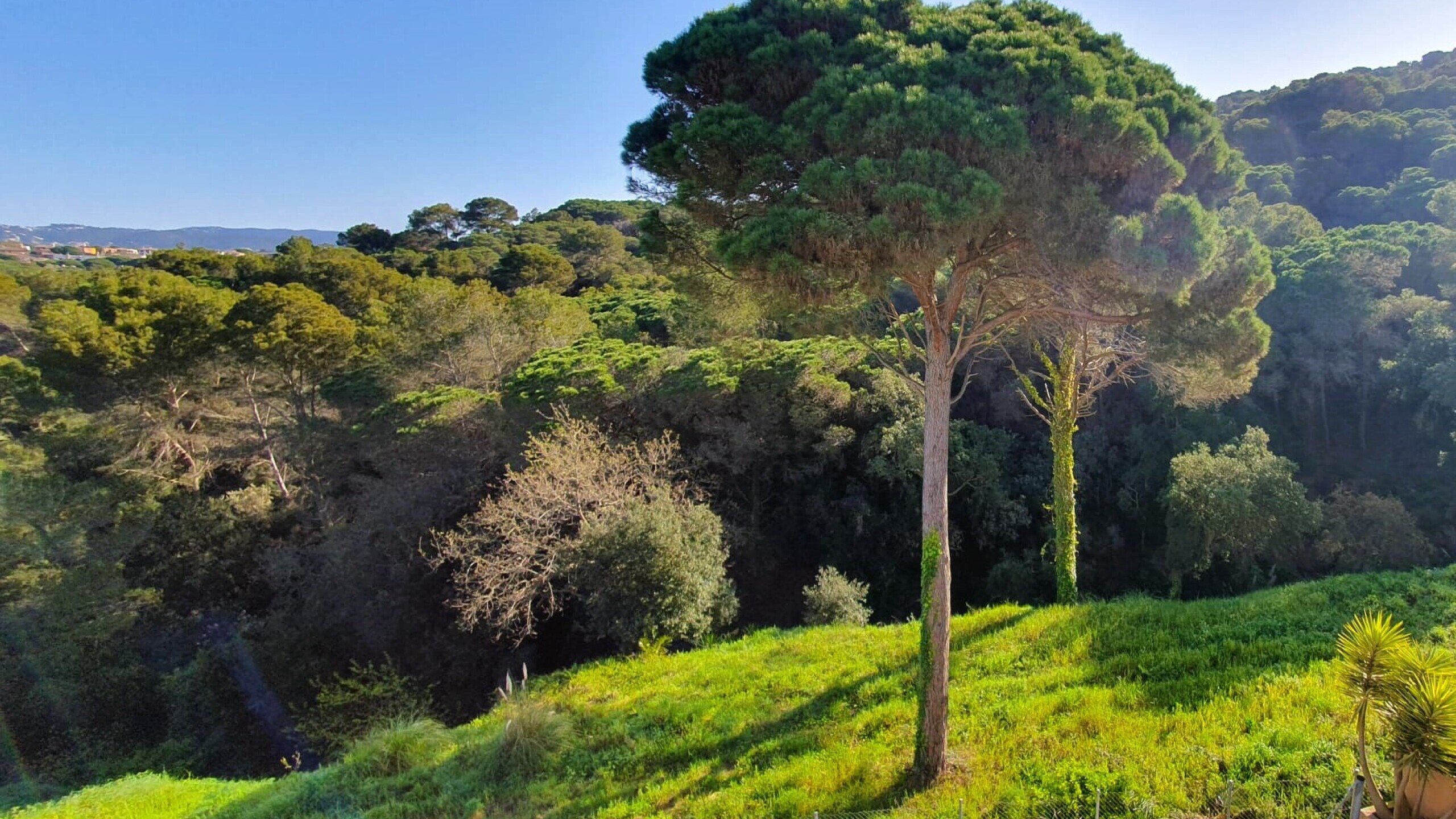 Villas de vacances Costa Brava Espagne - Villa Fransisca - L’une des vues