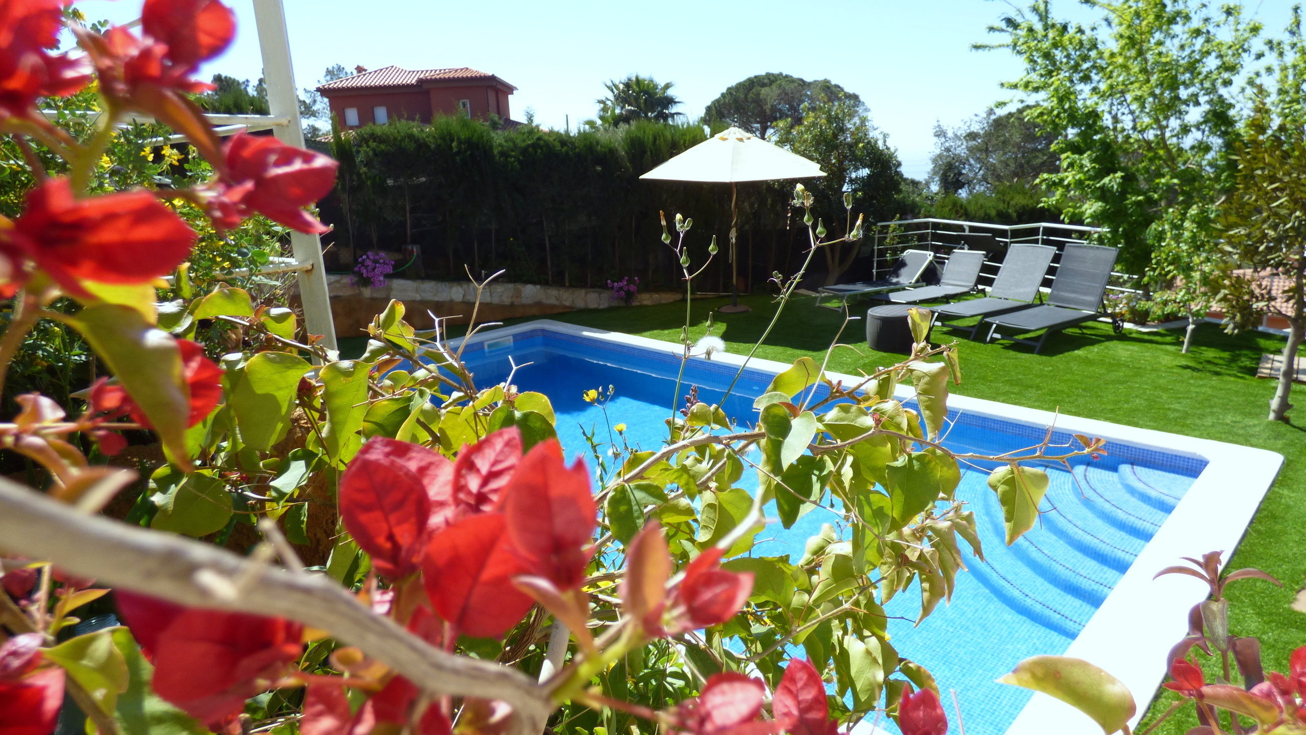 Villas de vacances Costa Brava Espagne - Villa Noa - Jardin