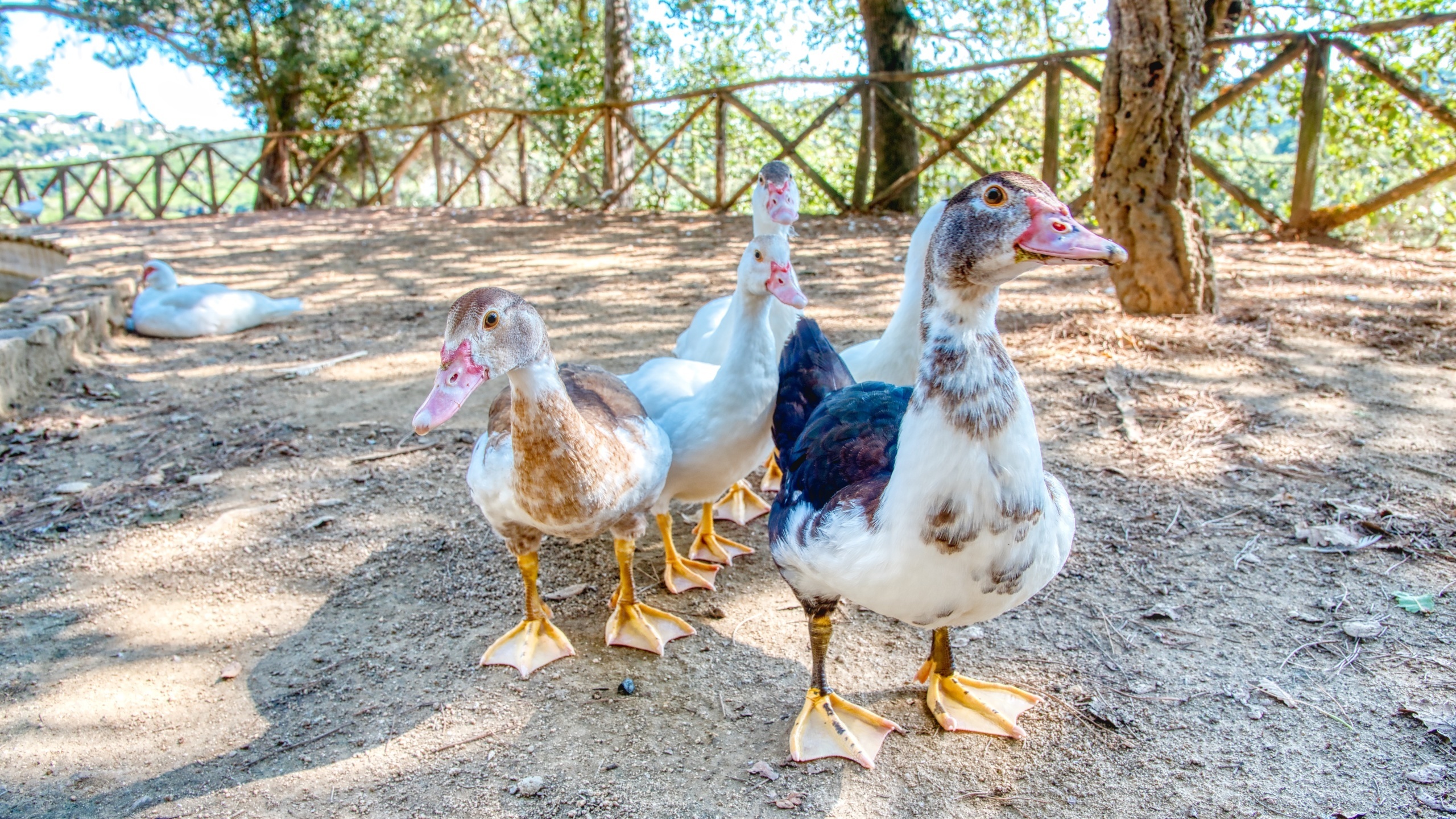 Villas de vacances Costa Brava Espagne - Villa Paradise - L’une des vues