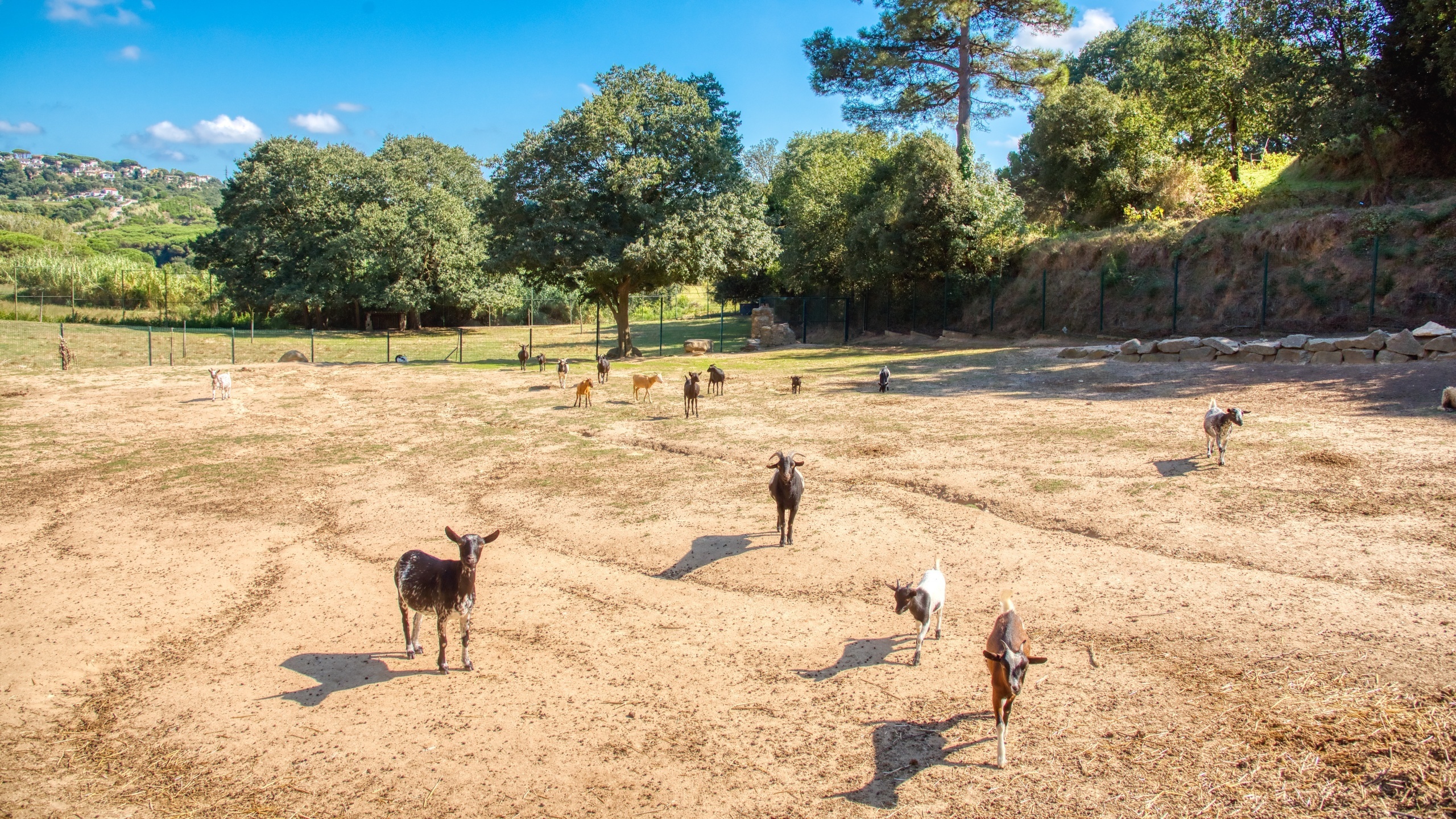 Villas de vacances Costa Brava Espagne - Villa Paradise - Villa à l’extérieur