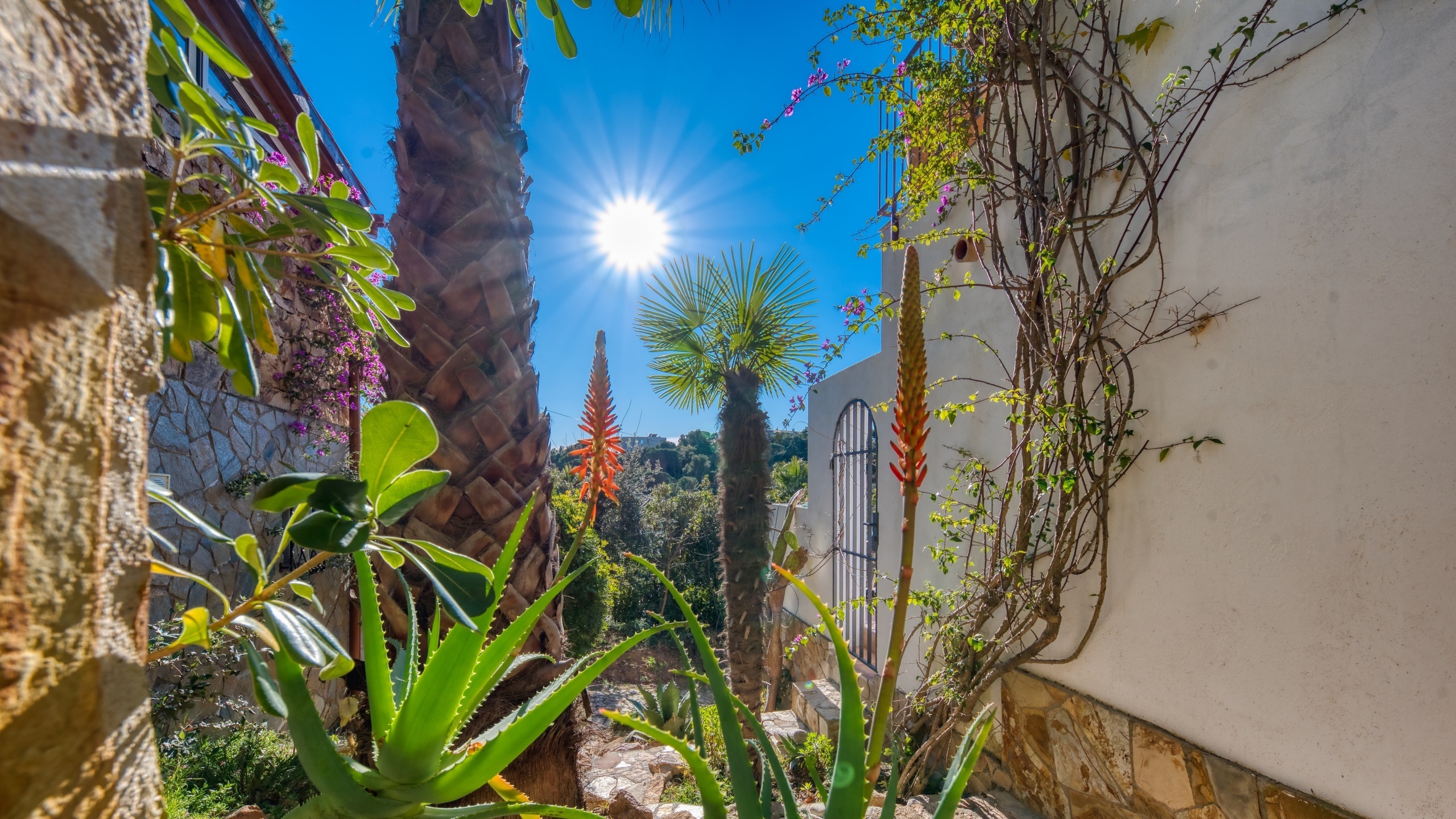 Villas de vacances Costa Brava Espagne - Casa AdoRa - Jardin