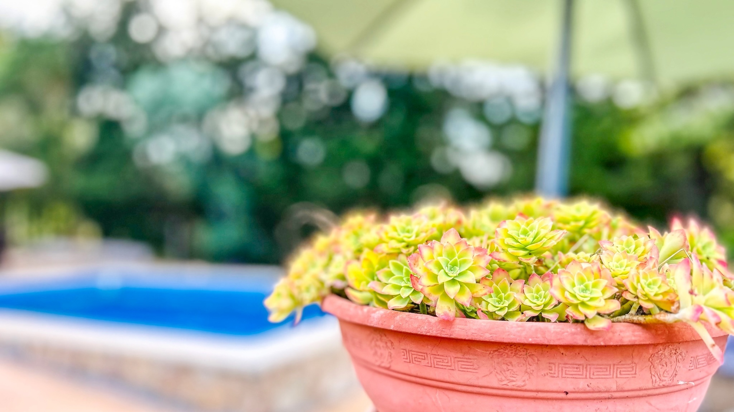 Villas de vacances Costa Brava Espagne - Villa Iako - Villa à l’extérieur